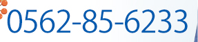 0562-85-6233